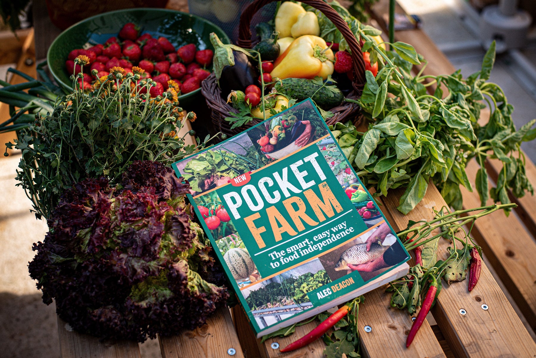 How I Finally Became Food Independent