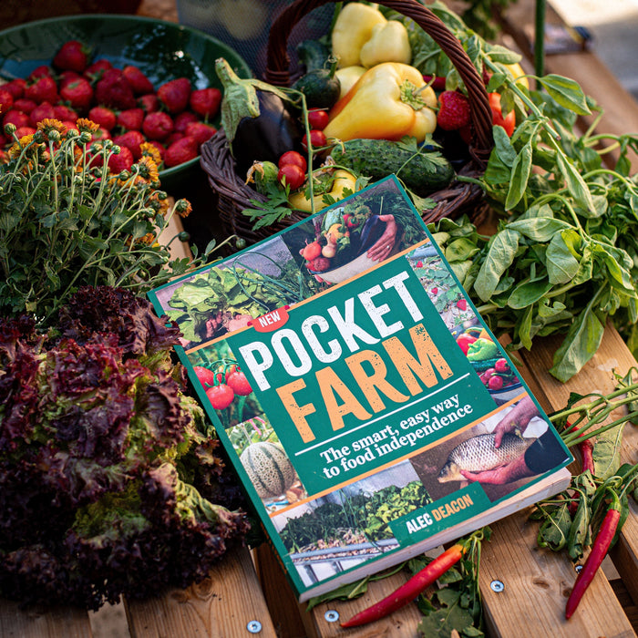 How I Finally Became Food Independent